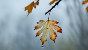 domowe sposoby na gorzki smak w ustach